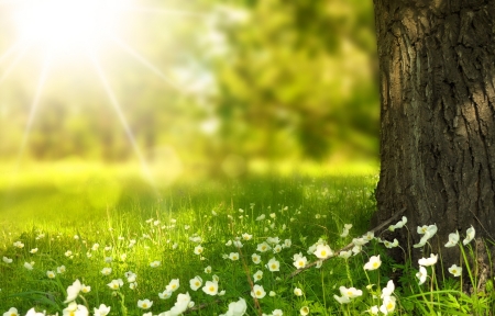 旅行Vlog拍摄技巧